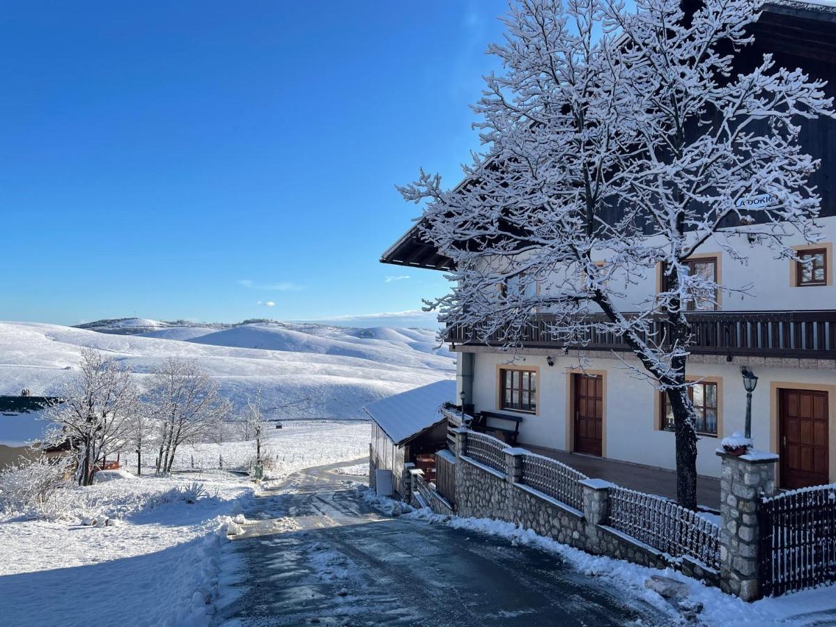 Guest House Vila Djokic Zlatibor Ngoại thất bức ảnh
