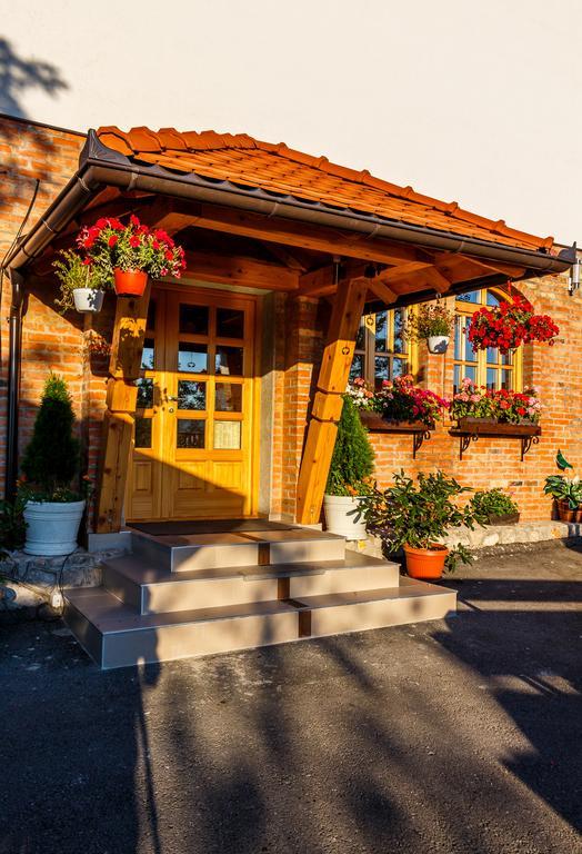 Guest House Vila Djokic Zlatibor Ngoại thất bức ảnh
