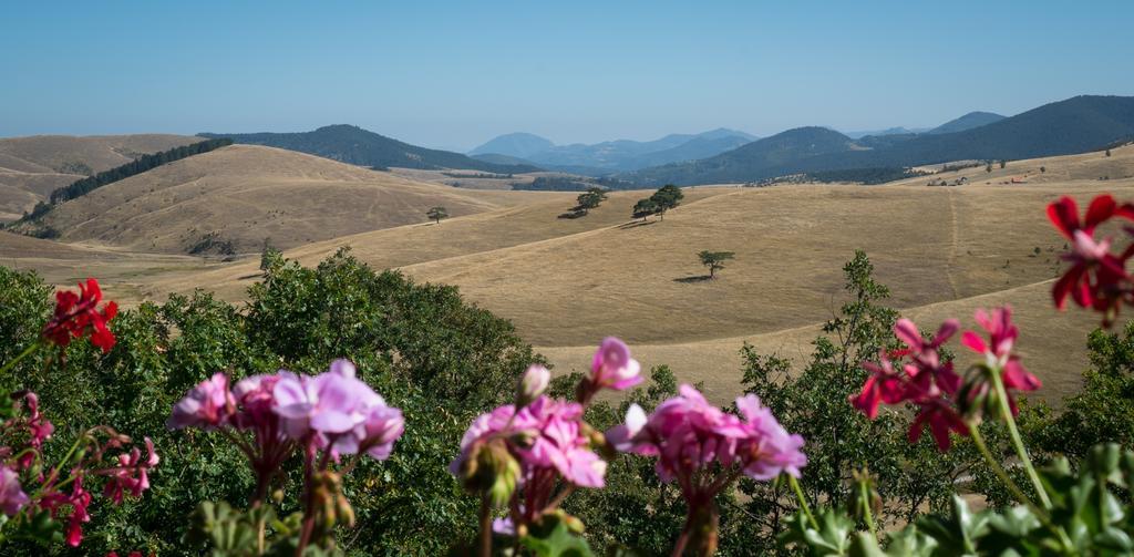 Guest House Vila Djokic Zlatibor Ngoại thất bức ảnh